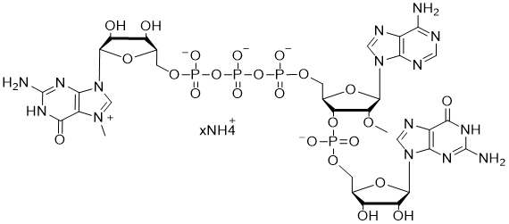 CAP?GAG： m7G(5')ppp(5')(2'OMeA)pG
