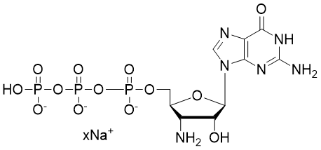 3'-NH2-GTP, 100 mM Sodium Solution